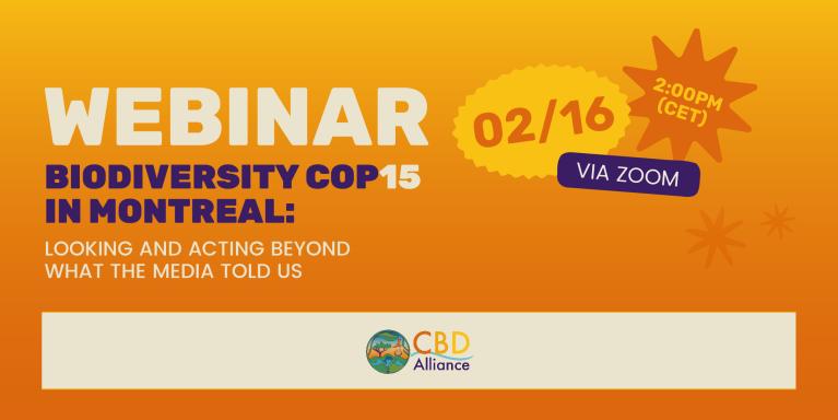 CBDA Post COP 15 Webinar 