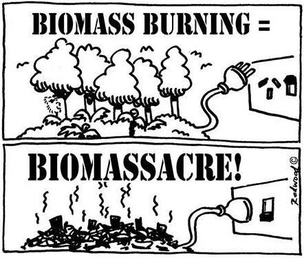 Biomass Burning = Biomassacre