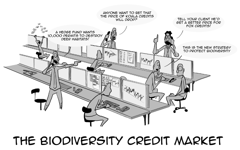 The Biodiversity Credit Market